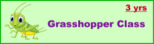 Preschool classes ages 3 Grasshopper