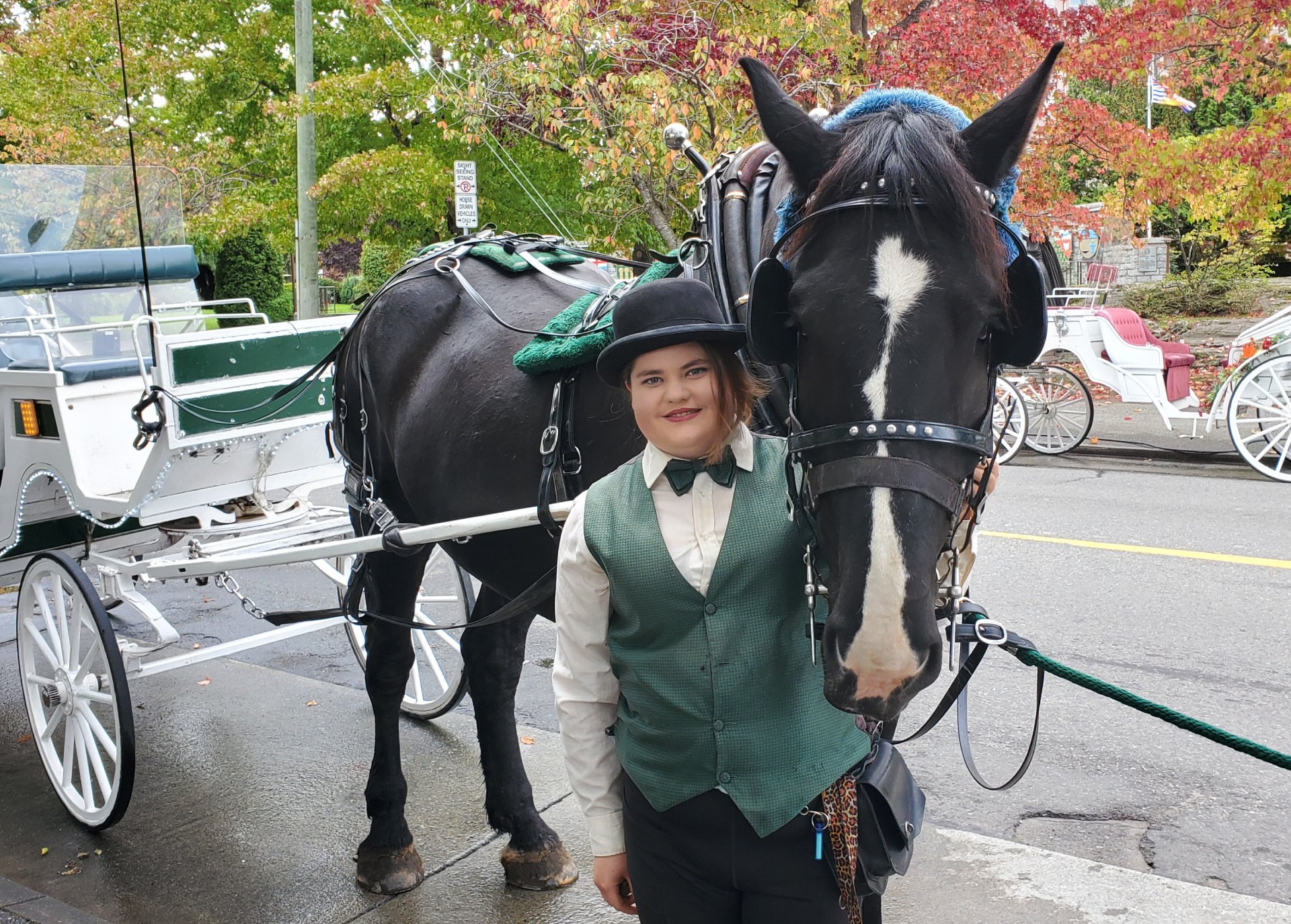 Jobs and Careers with Victoria Carriage Tours