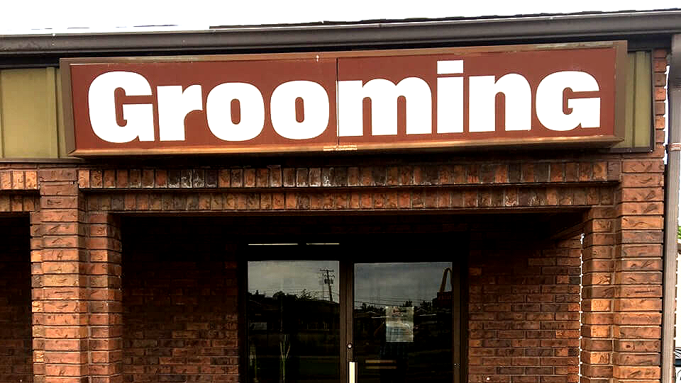 Pet Grooming Animal Care Veterinary Hospitals