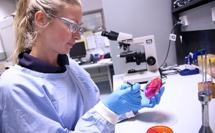 CSIRO exotic pathogen lab gets $220m upgrade