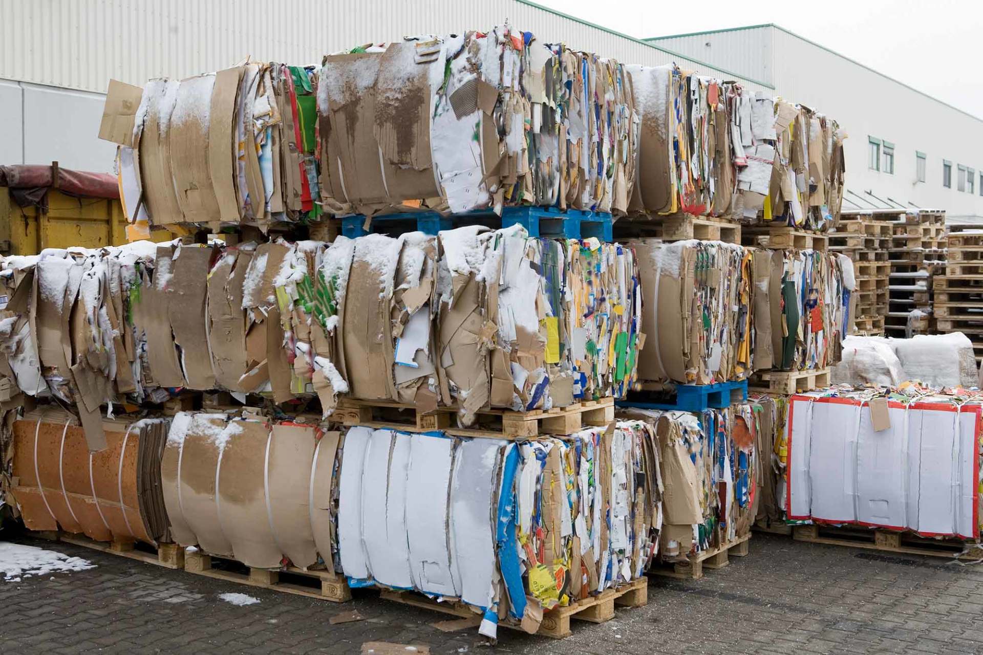 RM Waste Clearance Tadworth