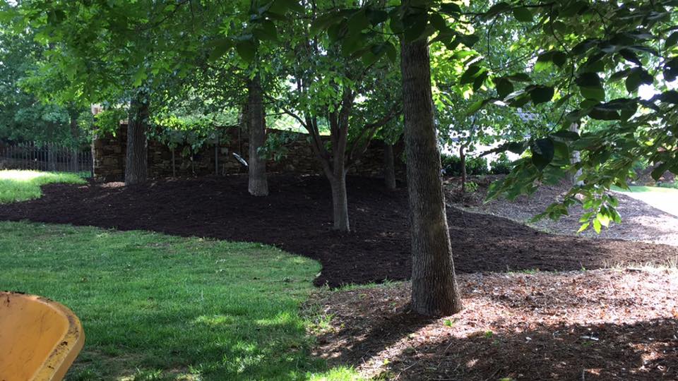 Precision Landscape Design Greenville SC