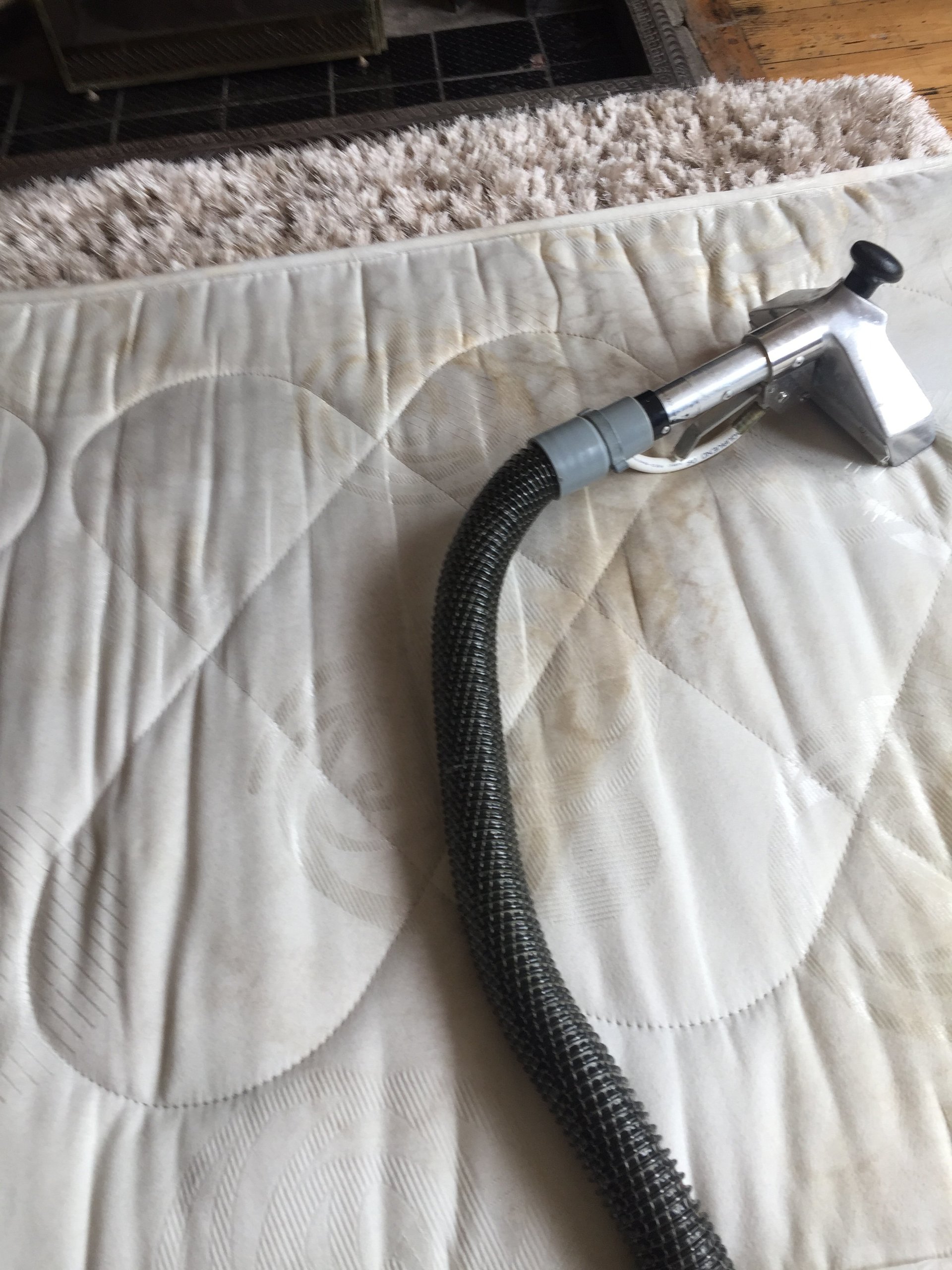 Allclean Carpet & Upholstery Cleaning in Darlington