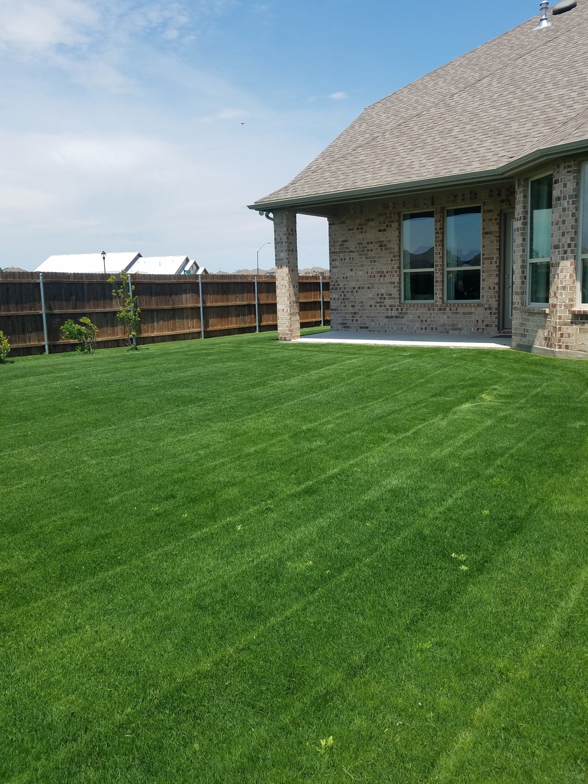 Commercial Lawn Care