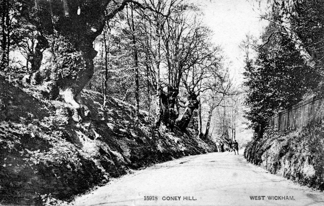 Coney Hall
