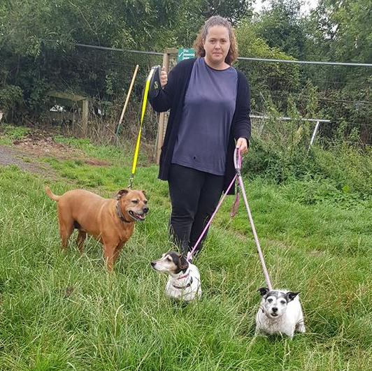 Hawthorn Boarding Kennels and Cattery About Us Newcastle 01912363309