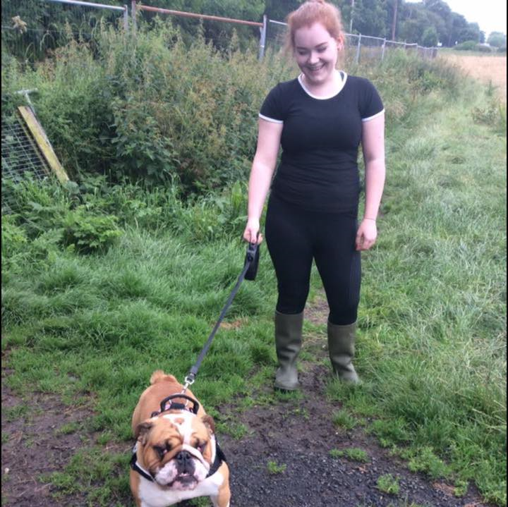 Hawthorn Boarding Kennels and Cattery About Us Newcastle 01912363309