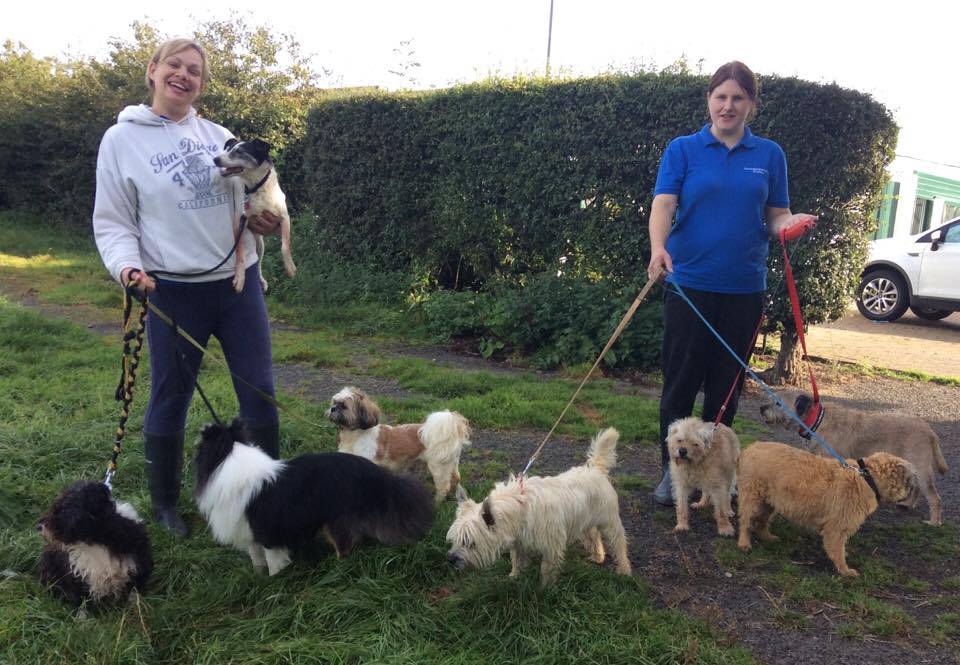 Hawthorn Boarding Kennels and Cattery About Us Newcastle 01912363309