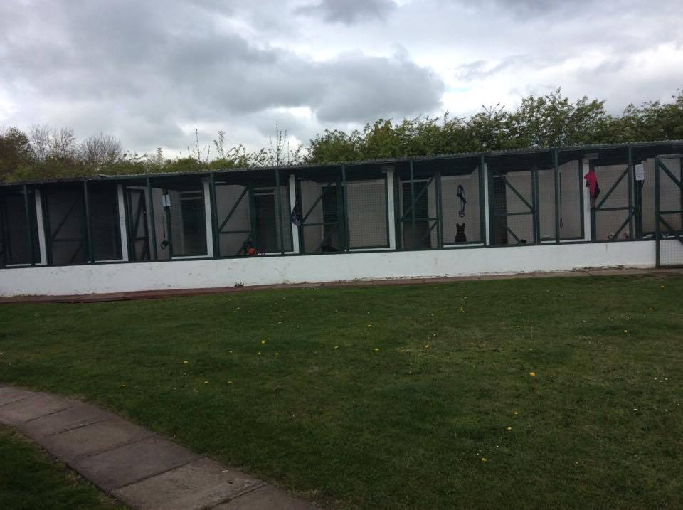 Hawthorn Boarding Kennels and Cattery Services Newcastle 01912363309