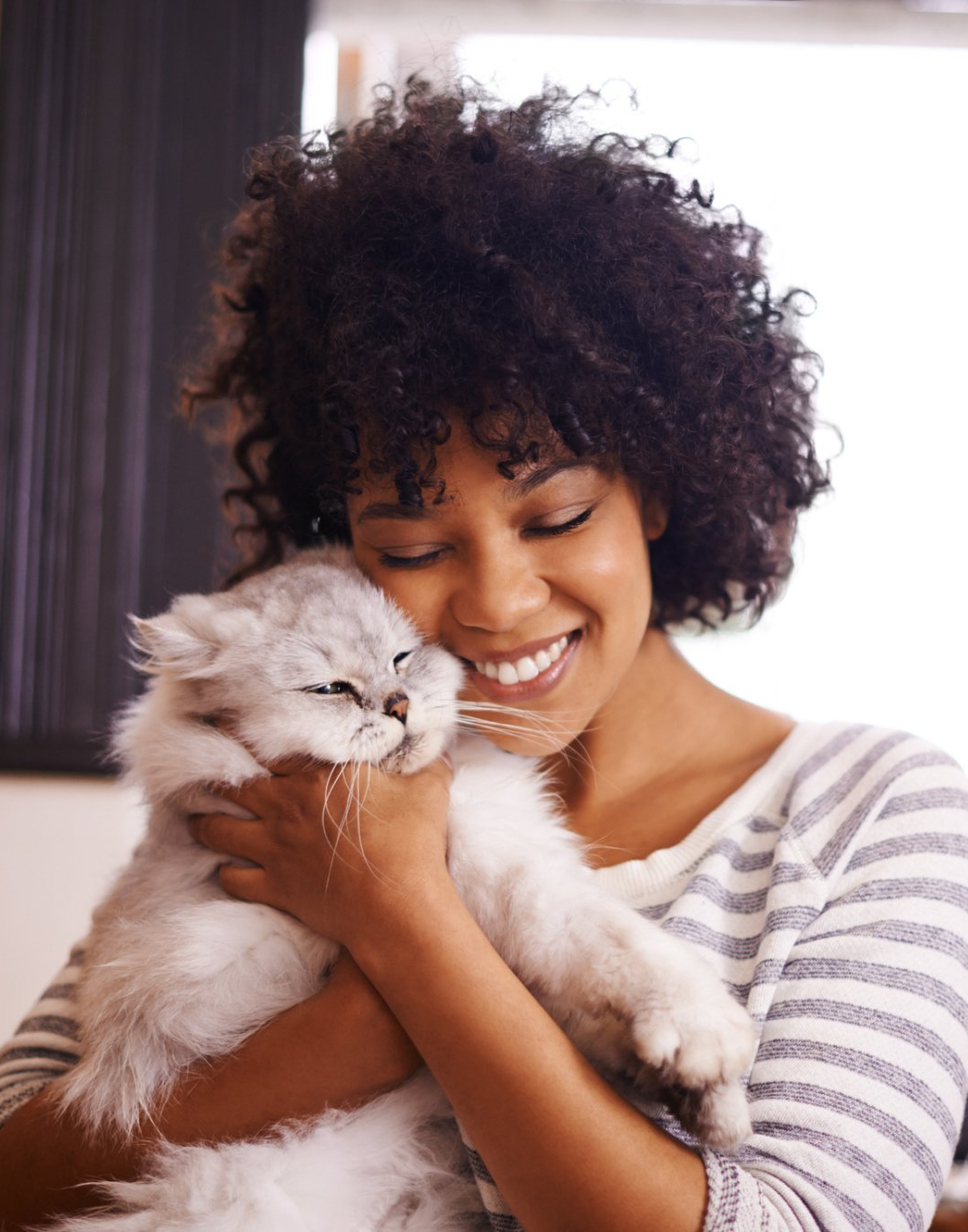 Home Hersch Lauren, LLC Property Management Baltimore, Maryland