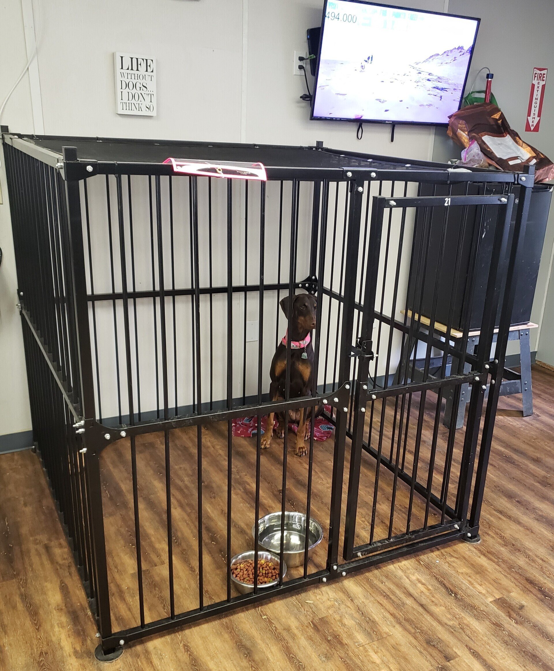 Dog Boarding & Cat Boarding Oxford, FL Miss Kate's Bed & Biscuit