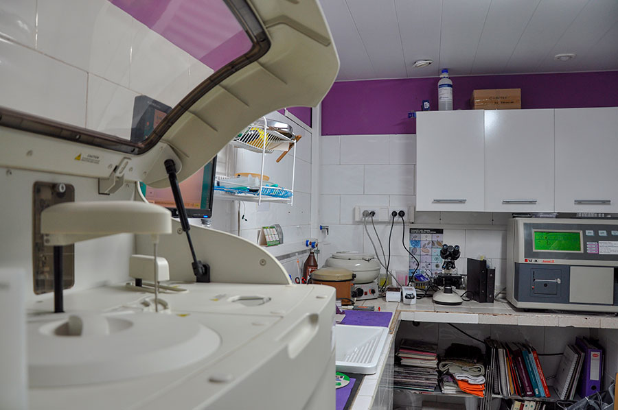 VETERINARIA SIGISMONDI