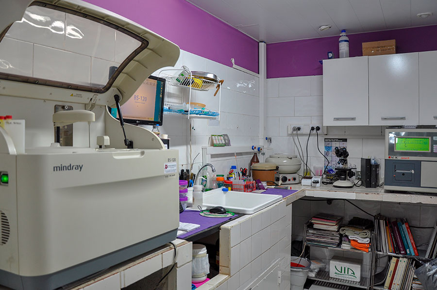 VETERINARIA SIGISMONDI