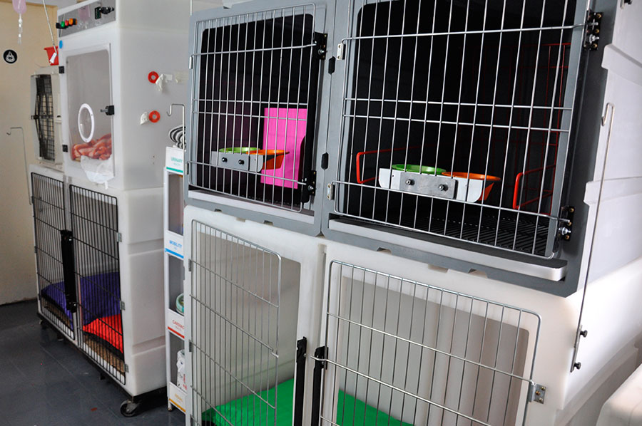 VETERINARIA SIGISMONDI