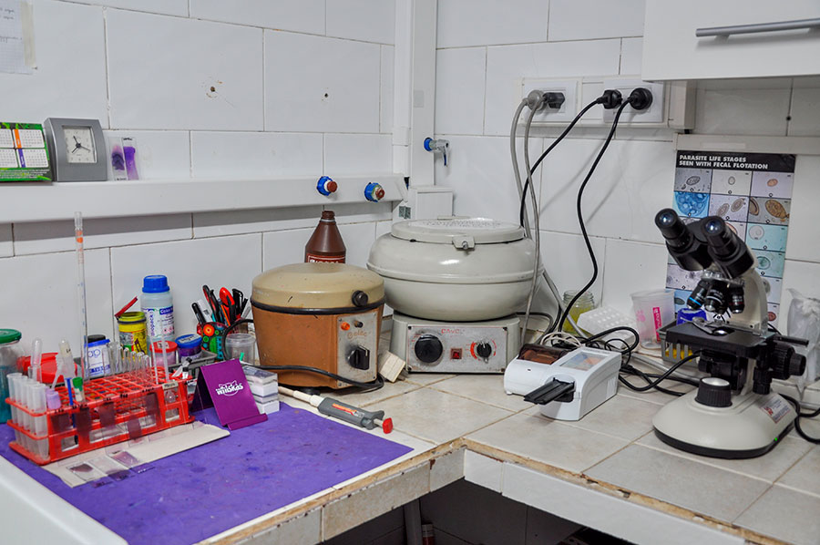 VETERINARIA SIGISMONDI