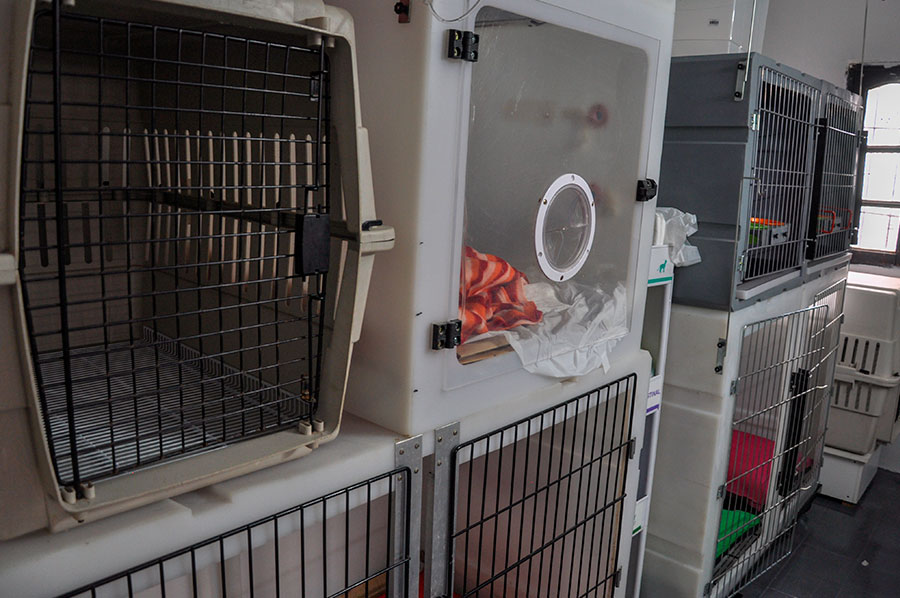 VETERINARIA SIGISMONDI