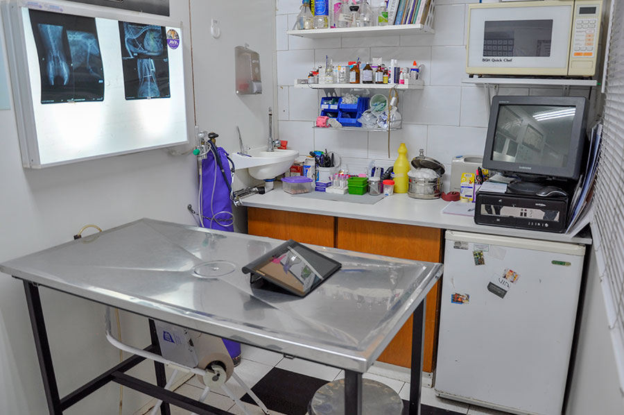 VETERINARIA SIGISMONDI