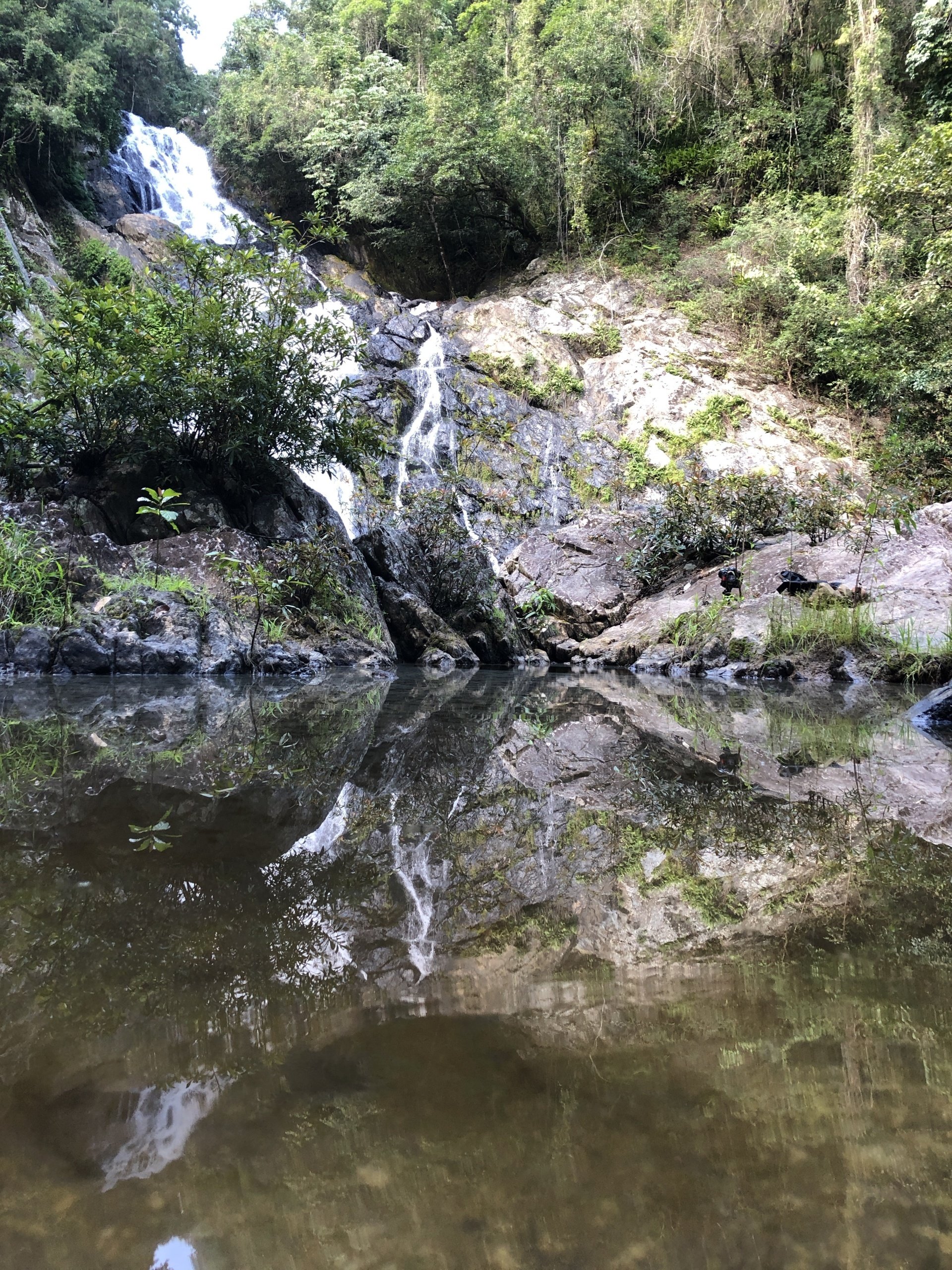 Daintree Village World Heritage Experience