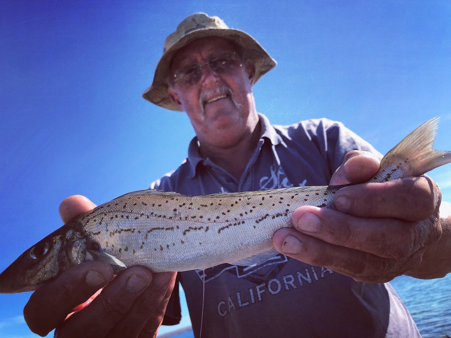 Streaky Bay Why We Keep Coming Back