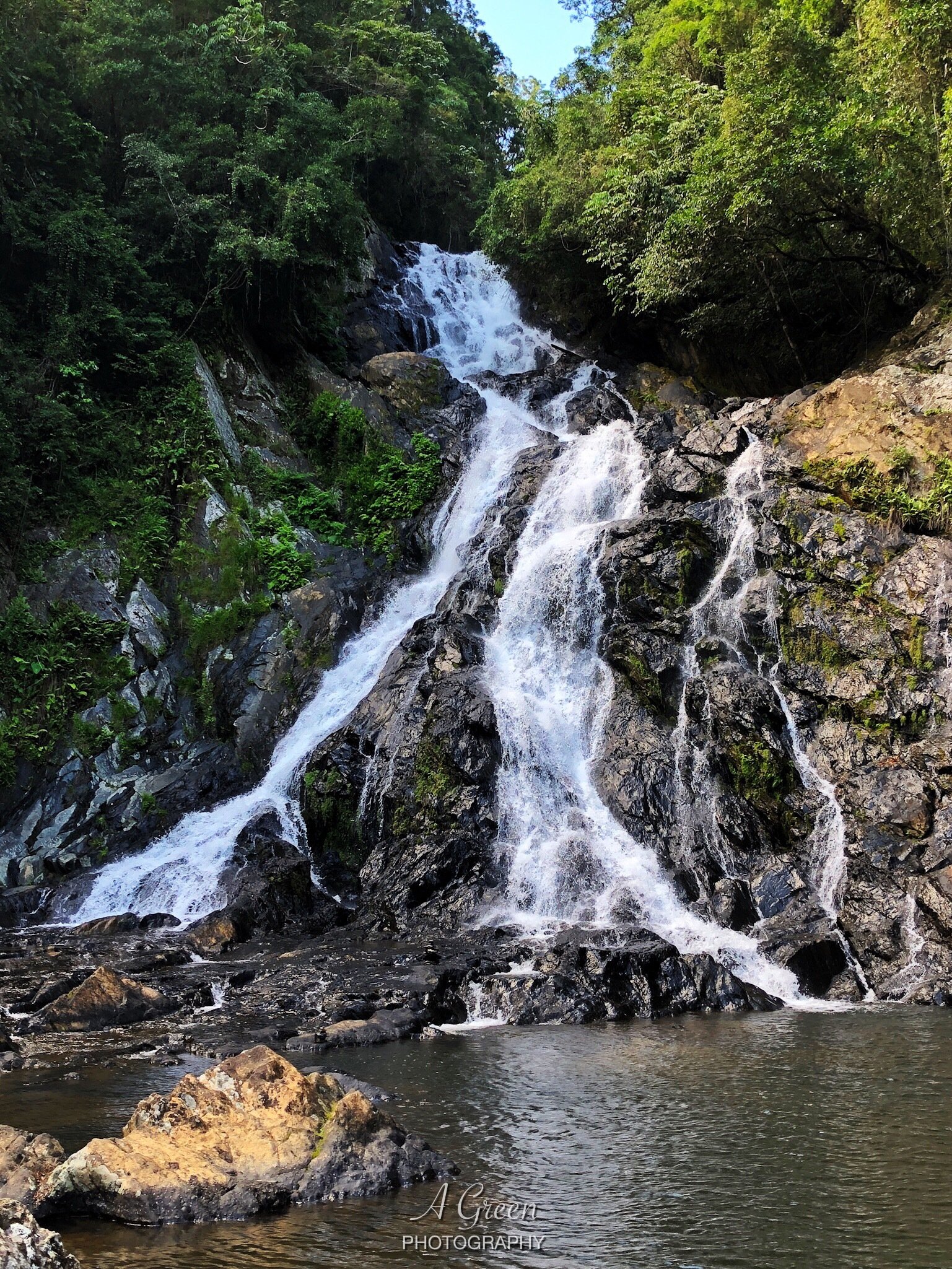 Daintree Village World Heritage Experience