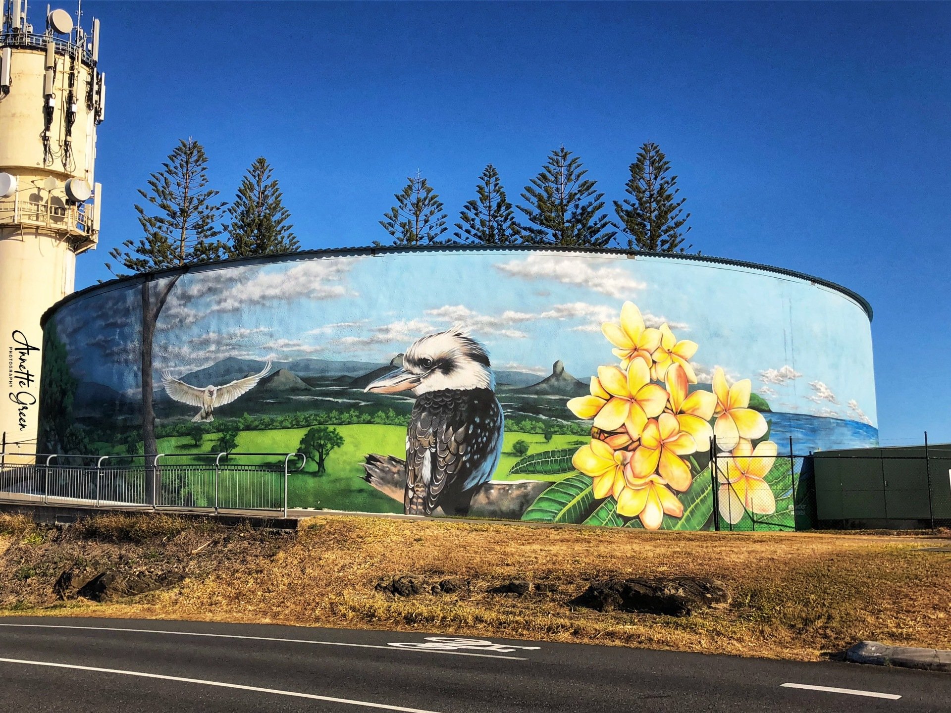 Australian Water Tower Art