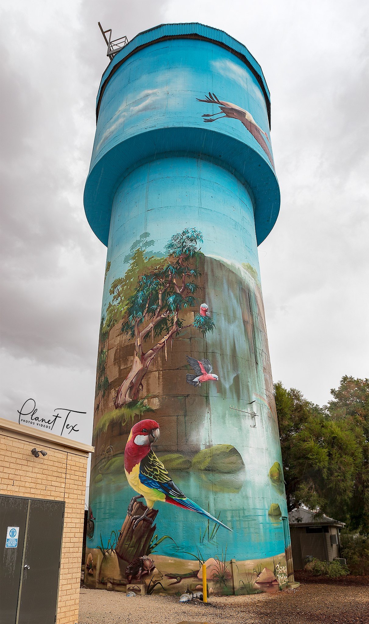 Lockhart Water Tower Art