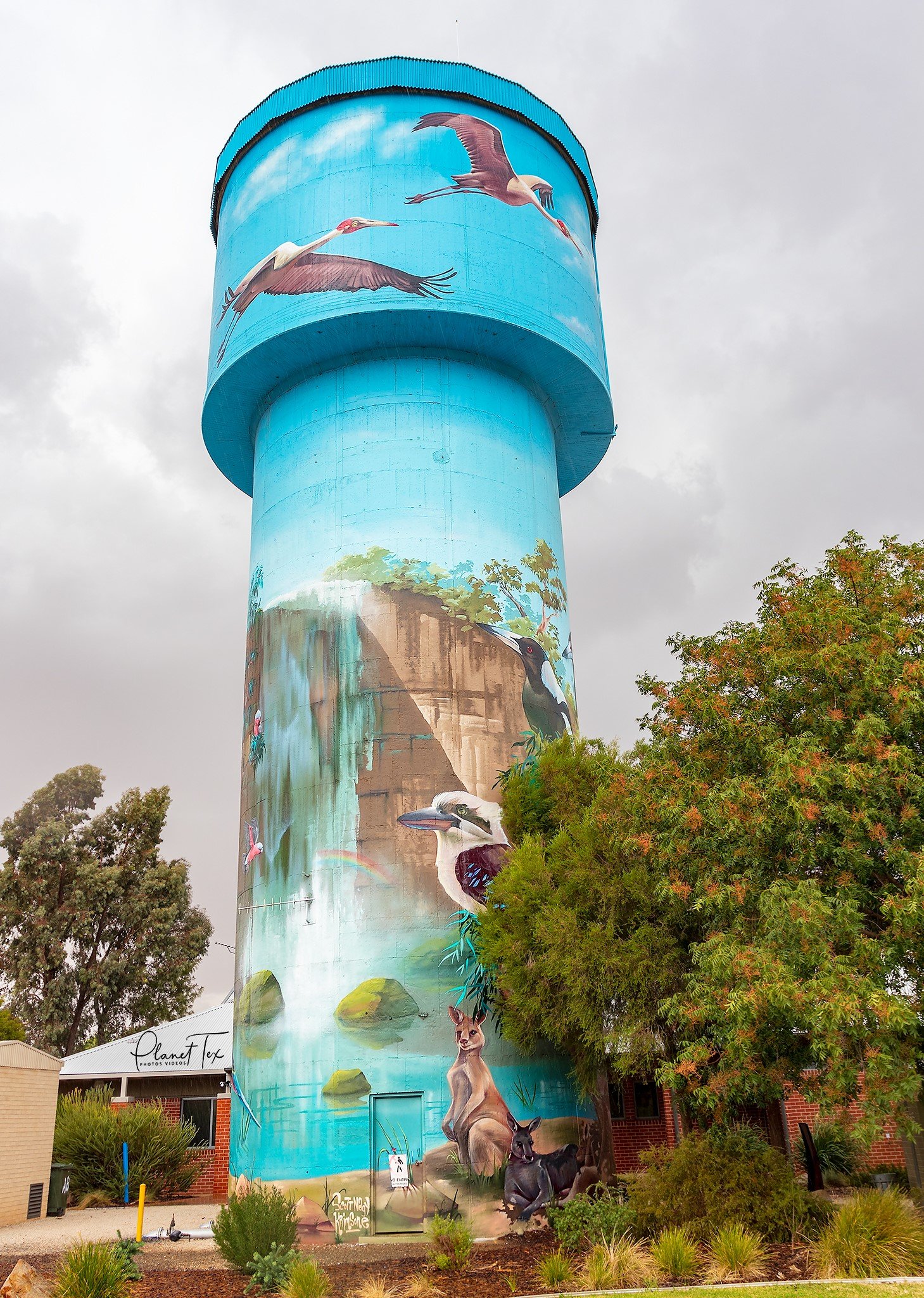 Lockhart Water Tower Art