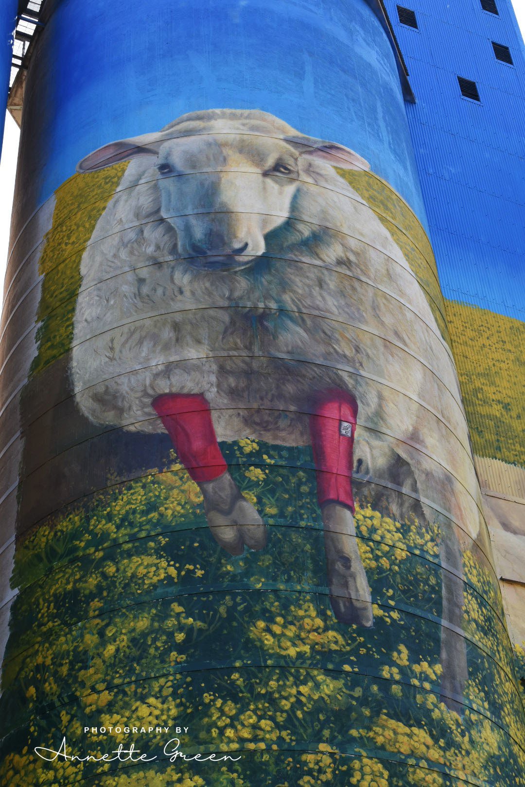 Merriwa Silo Art