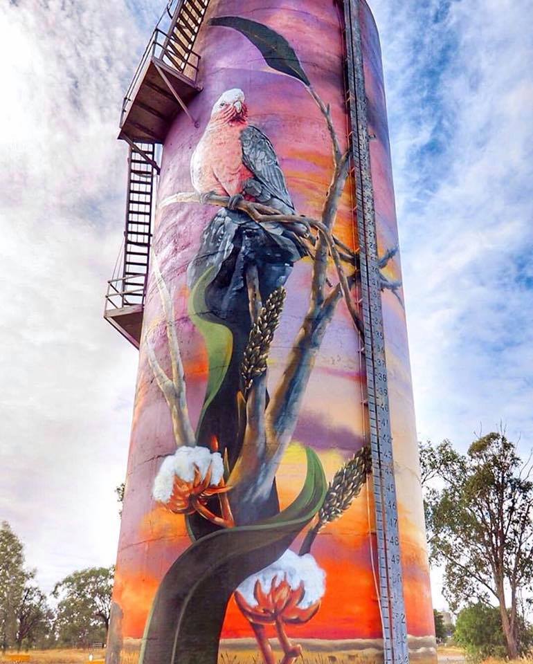 Australian Water Tower Art