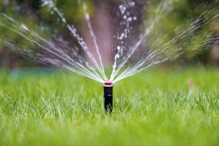 Smart Irrigation Systems What You Need to Know