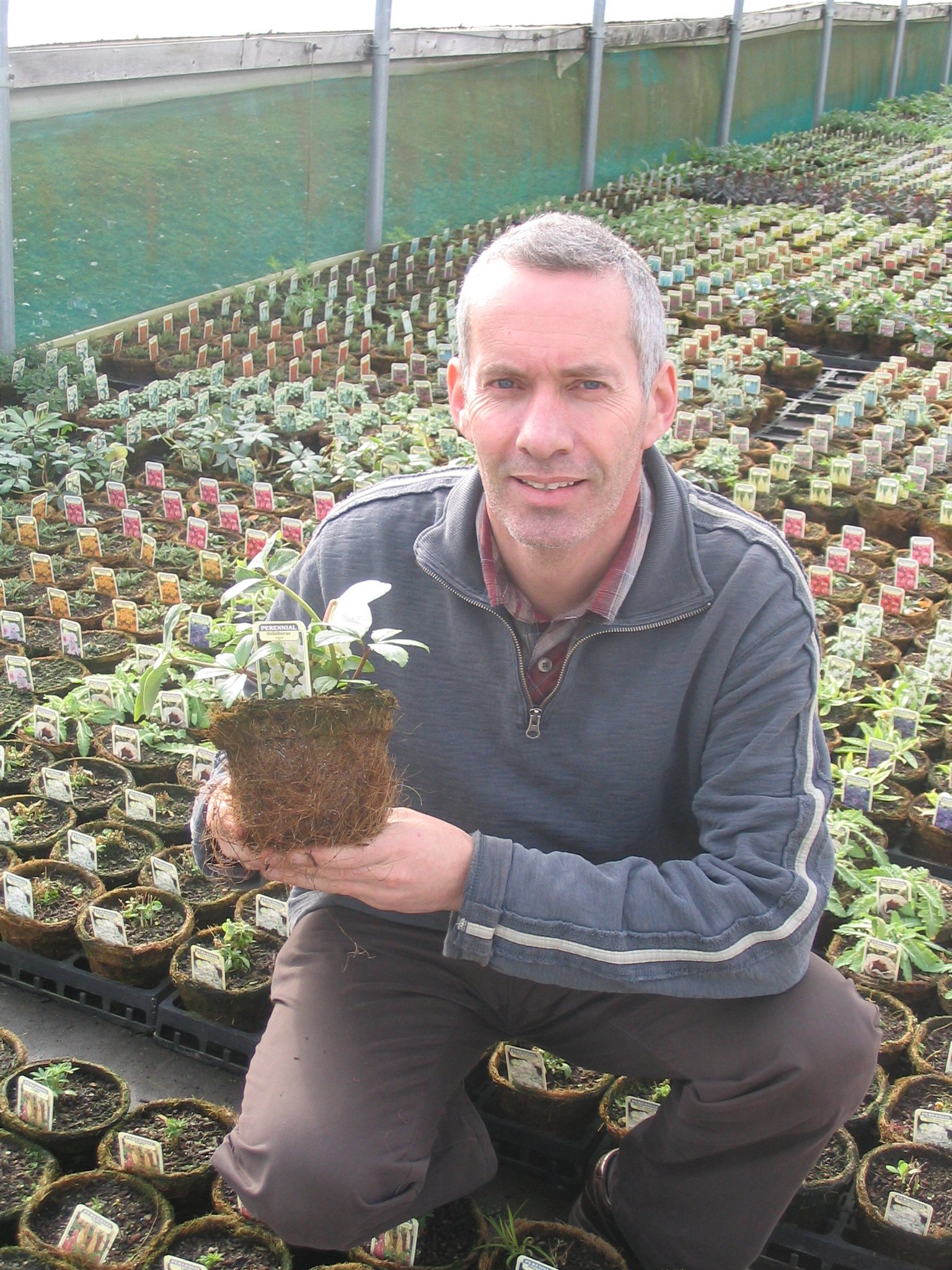 Kirton Farm Nurseries Ltd home of the Hairy Pot Plant Co