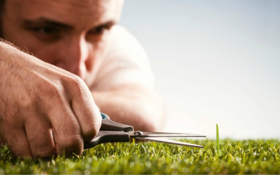 Do tính chất công việc, người làm nghề thiết kế đồ họa thường rất cầu toàn