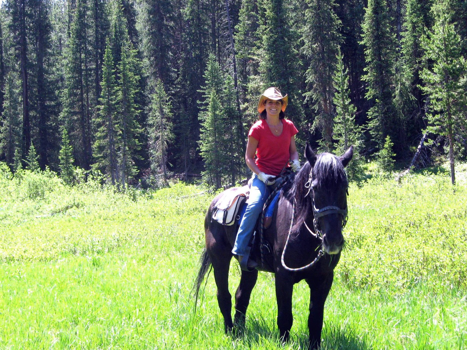 Silver Creek Outfitters Home Steamboat Springs, CO