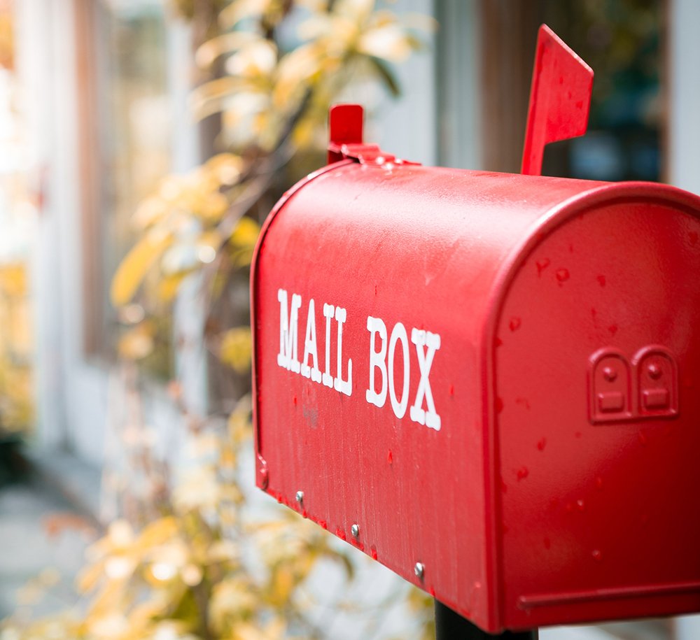 meow & Howl Pet sitting