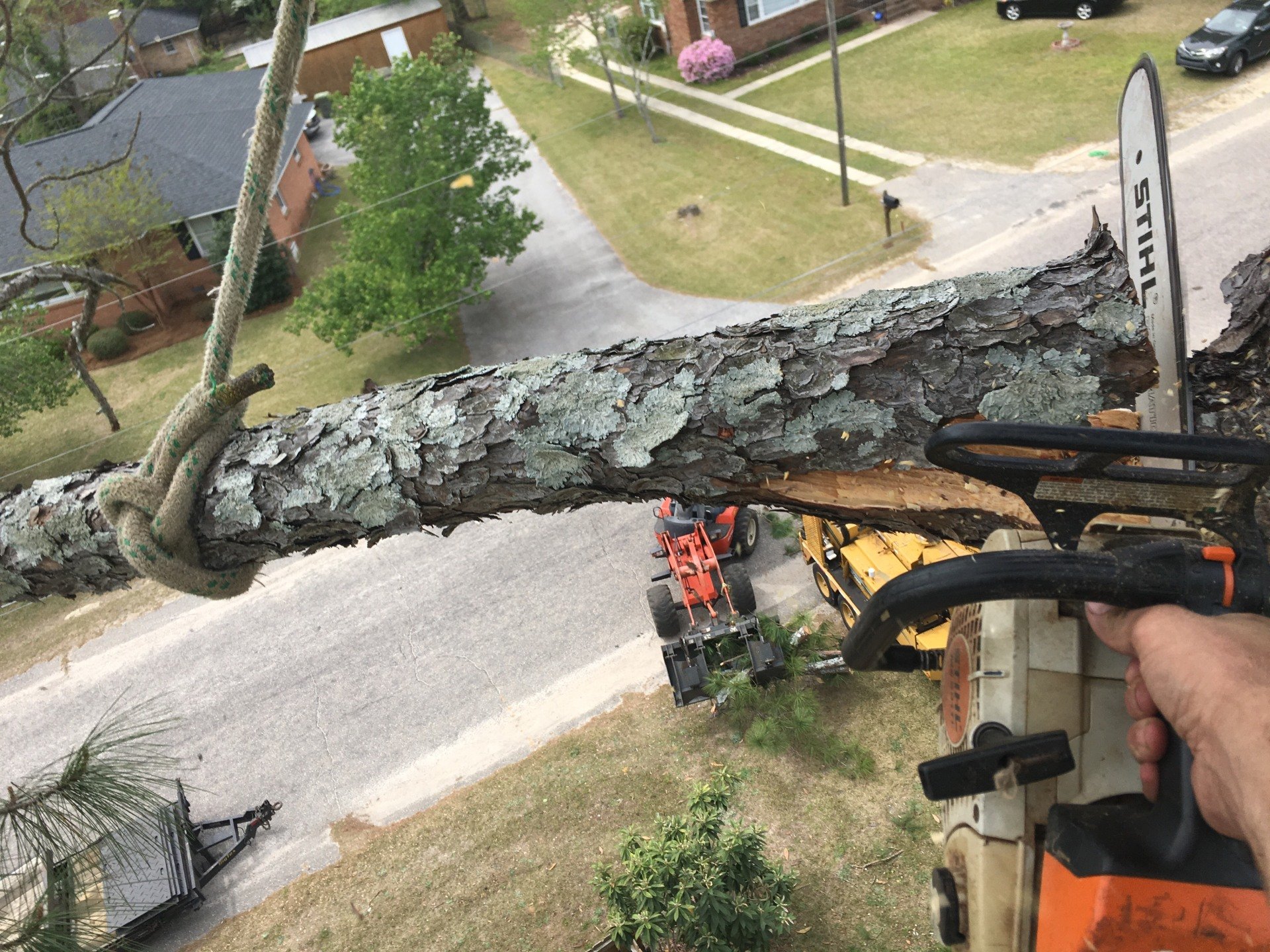 Commercial & Residential Tree Trimming Tree Care Service Tree Removal