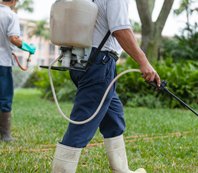 pest control workers