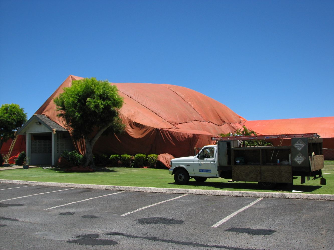 One of our exterminators performing pest and rodent control in Wailuku, HI