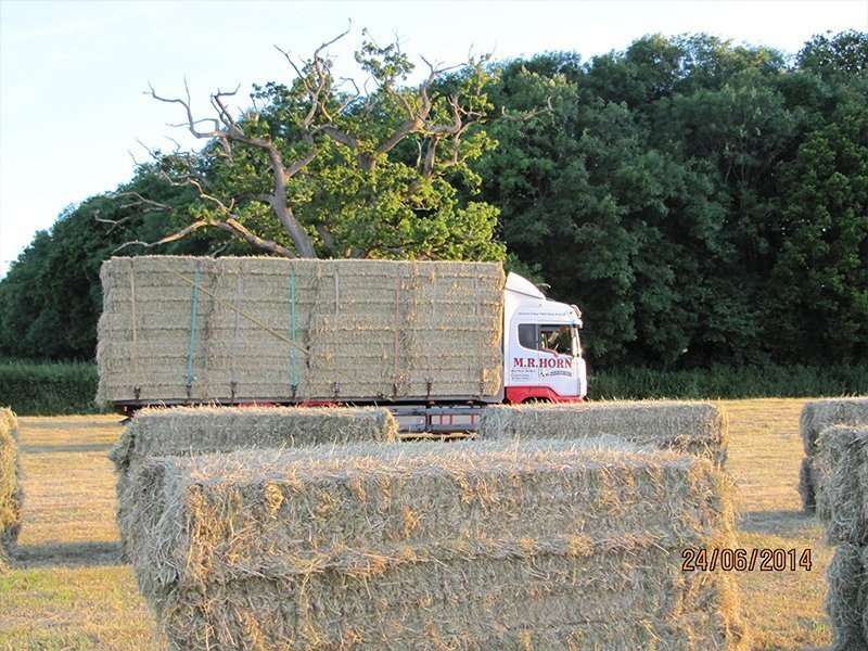 Hay and straw supplies from M.R Horn & Partners LLP