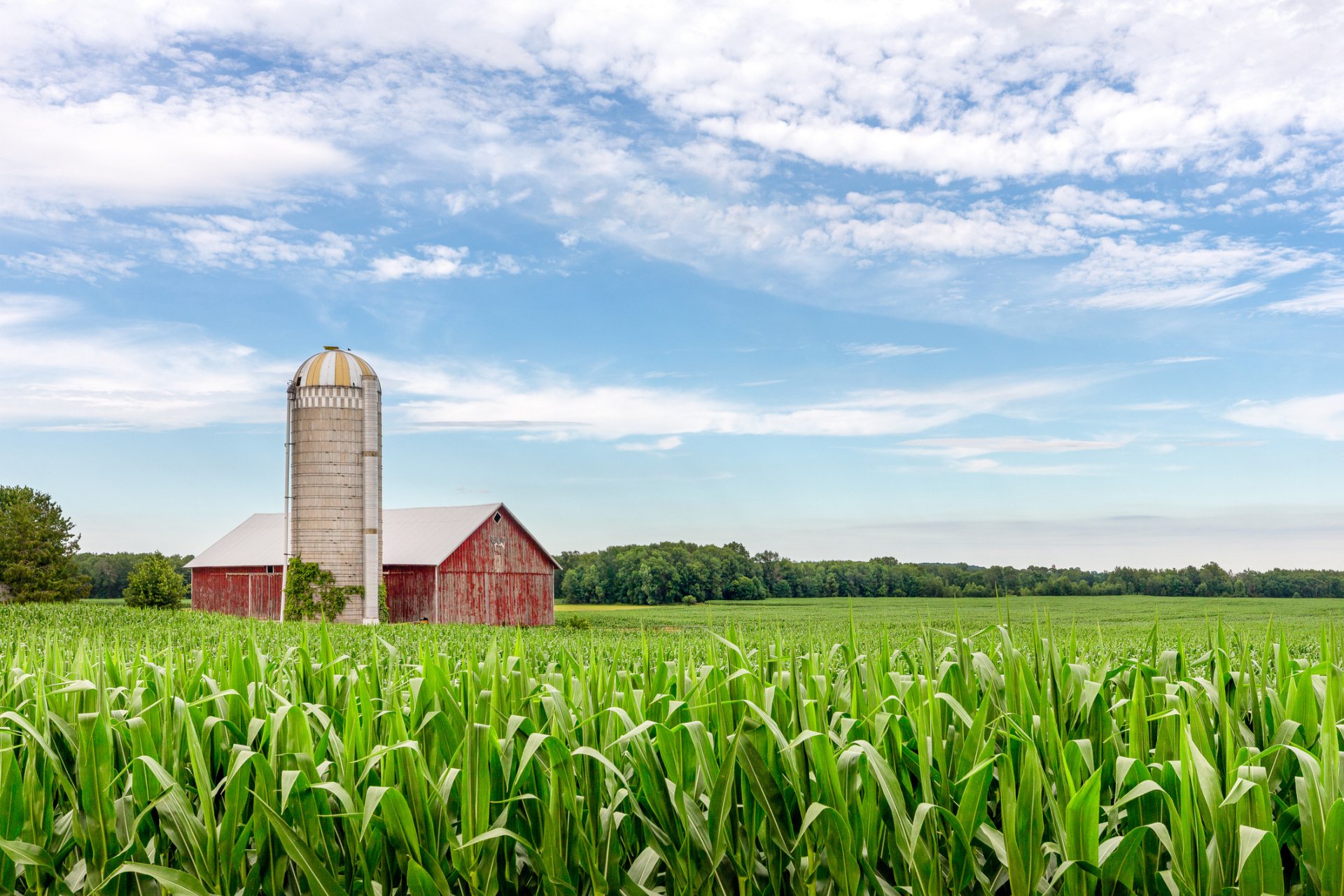 Commercial Auto Insurance Carroll, IA Lenz Insurance Commercial Auto Insurance Carroll, IA Lenz Insurance