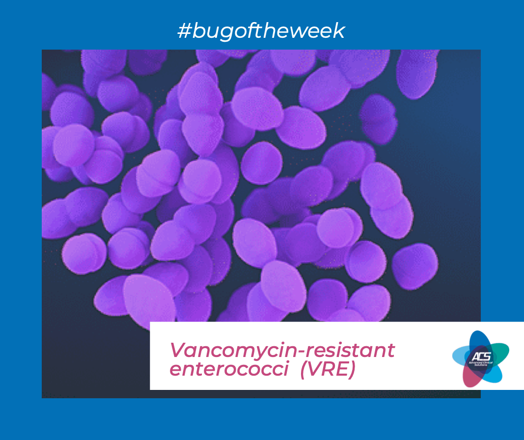 enterococci (VRE)