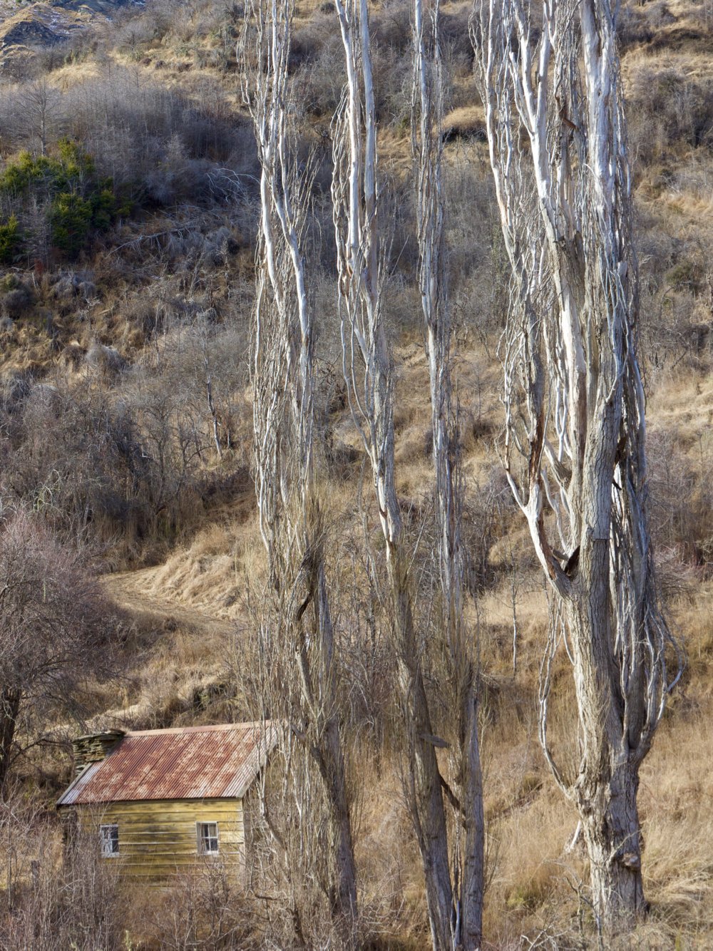 Skippers Canyon tours