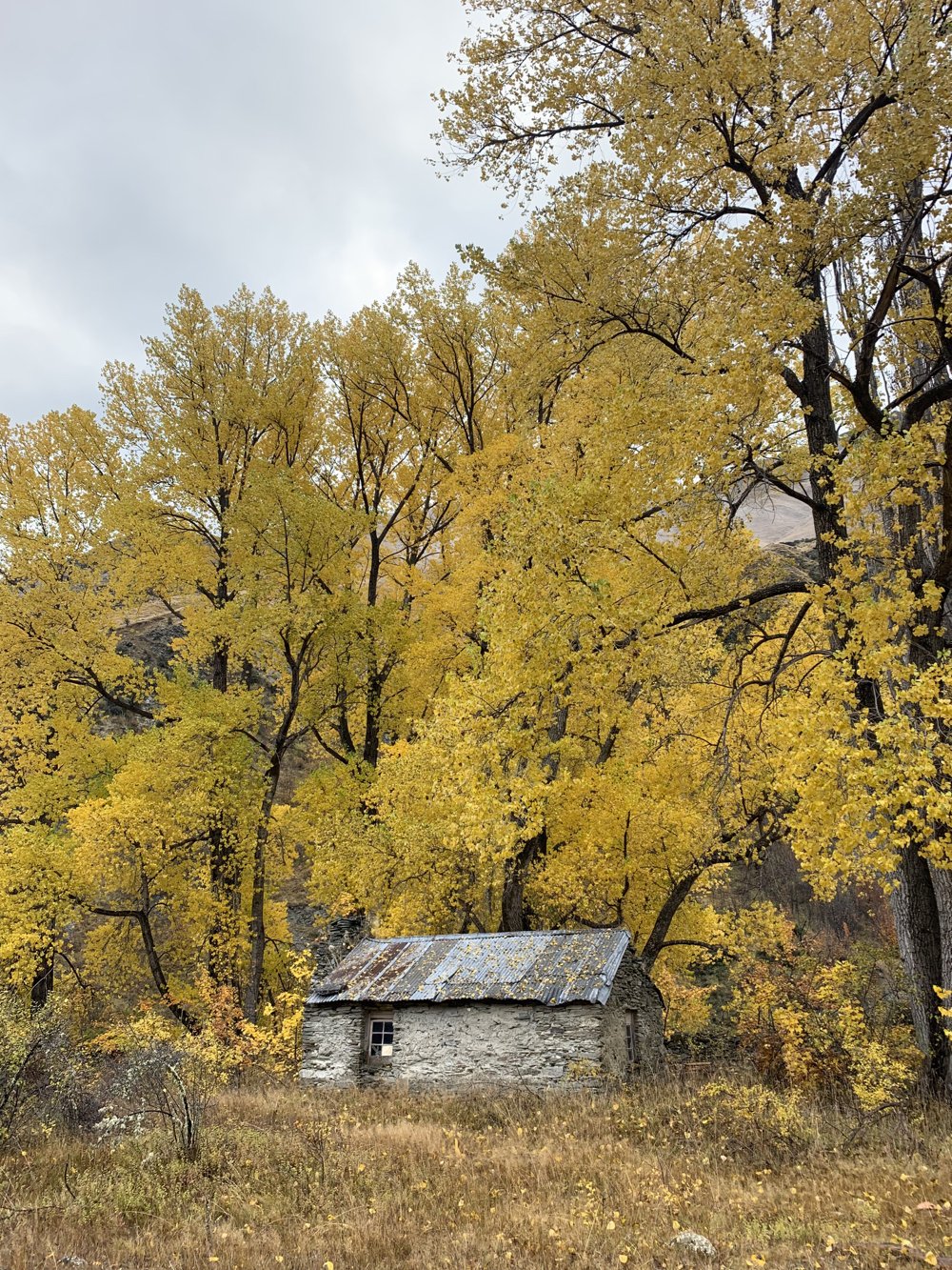 Skippers Canyon tours