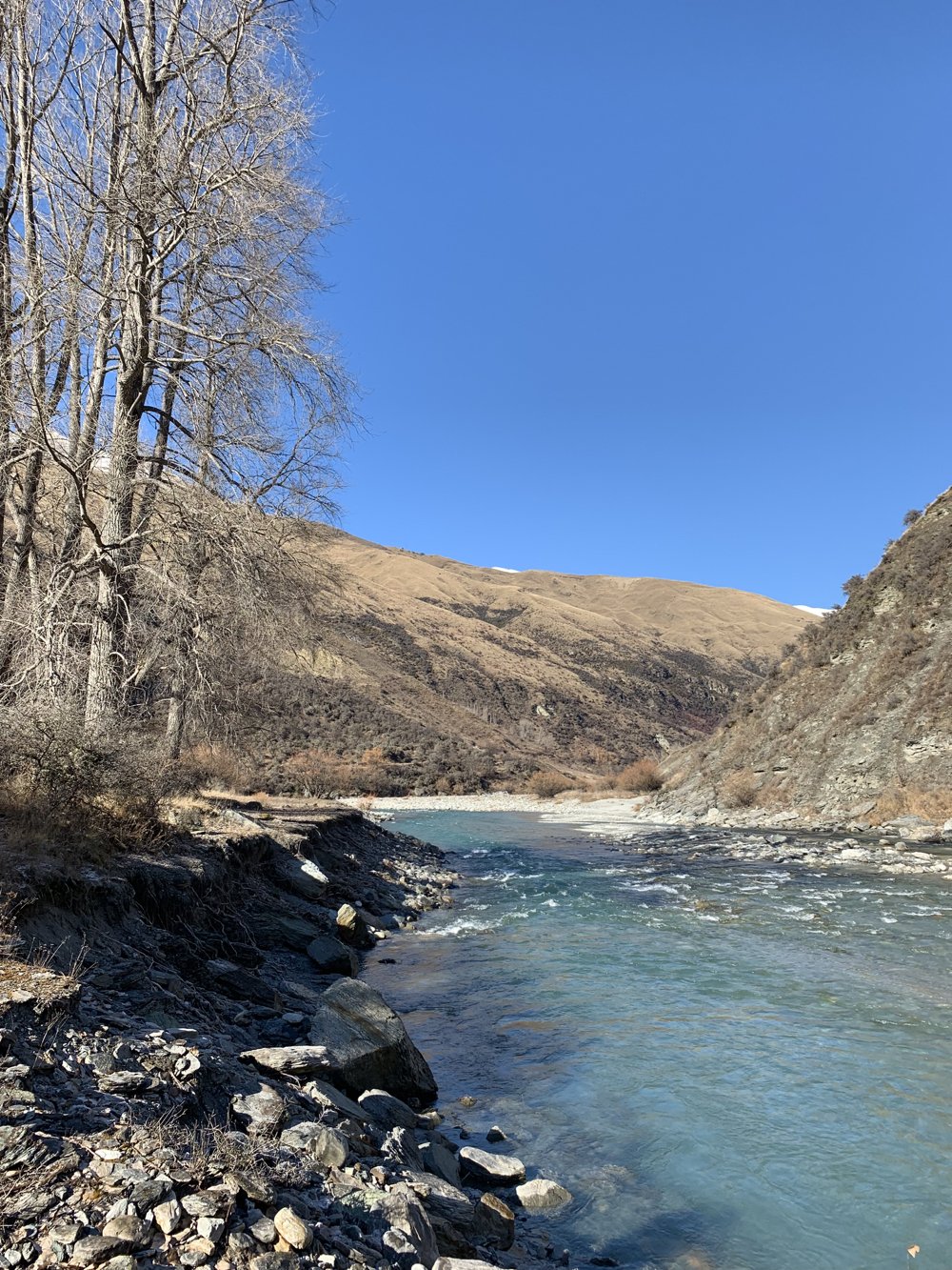 Skippers Canyon tours