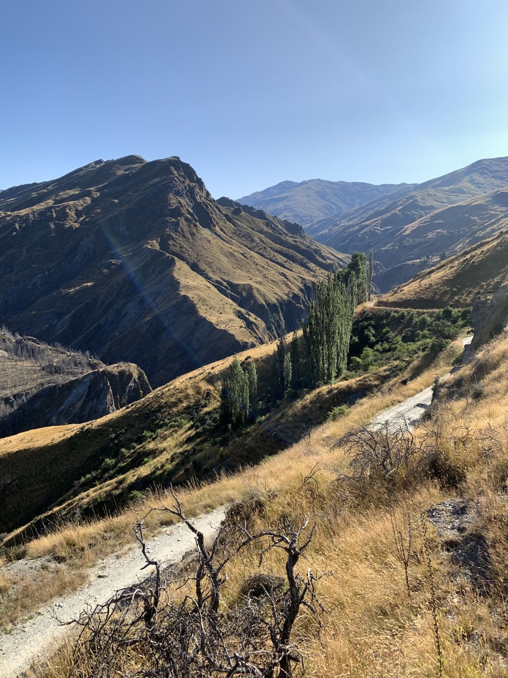 Skippers Canyon tours