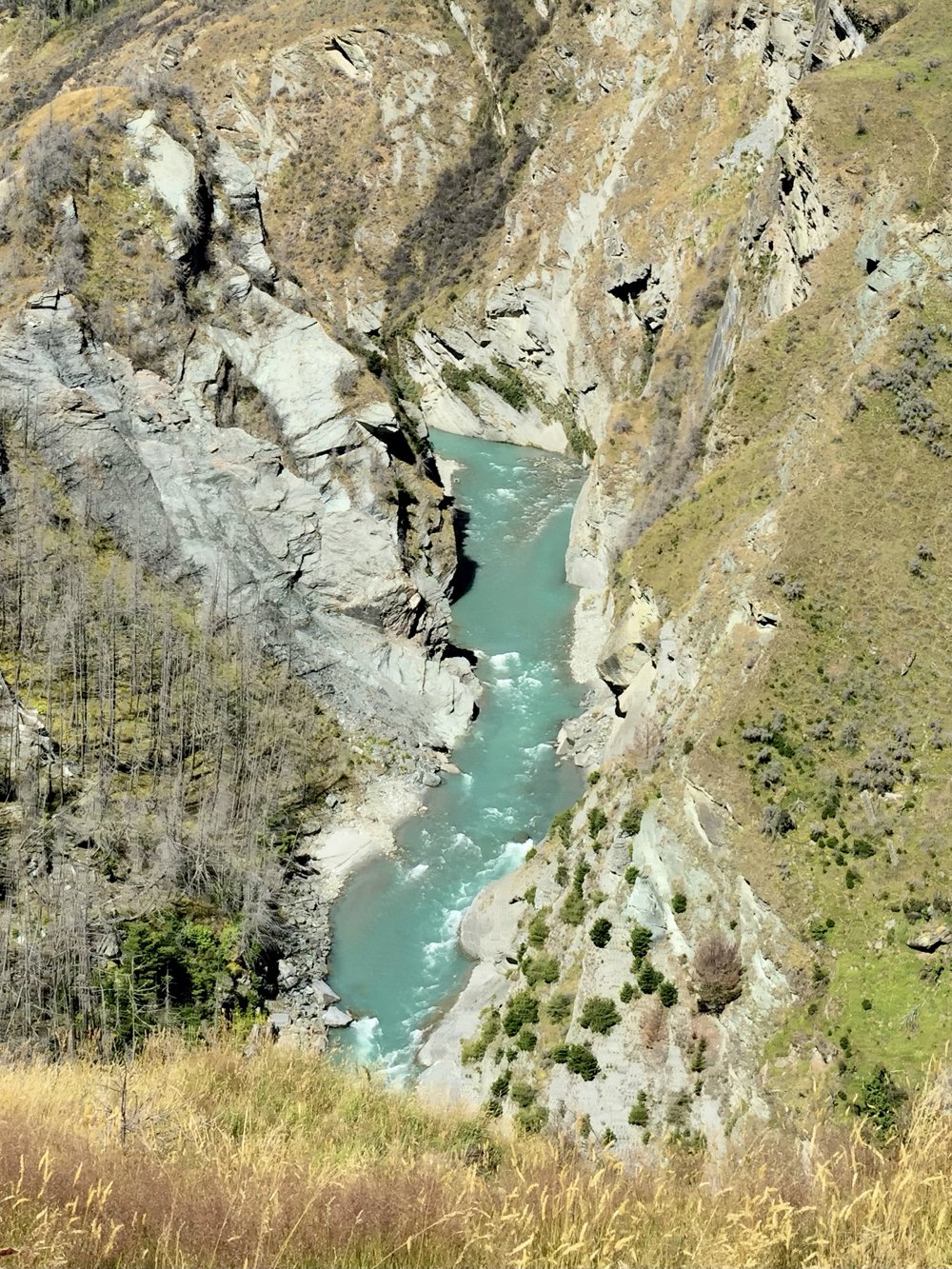 Skippers Canyon tours