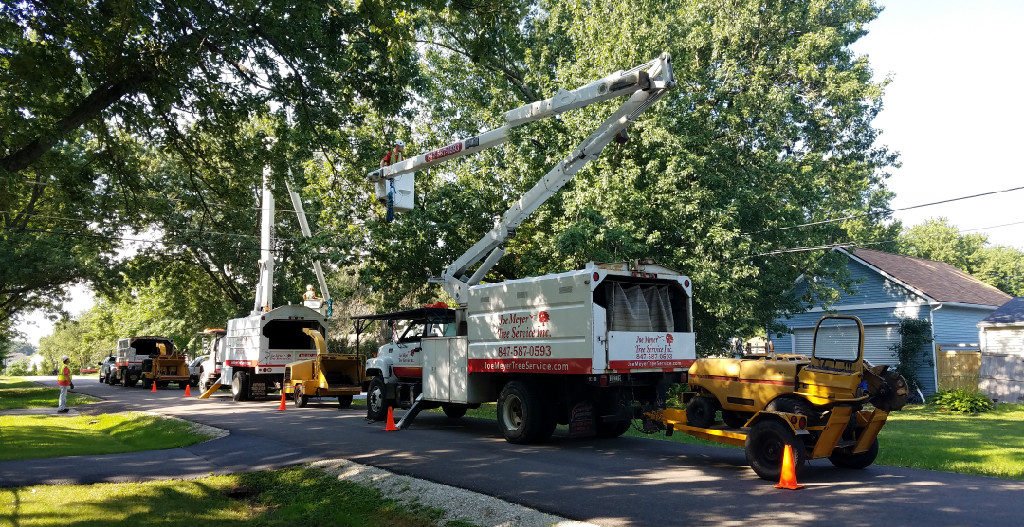 Municipality Tree Services Fox Lake, IL Joe Meyer Tree Service, Inc.