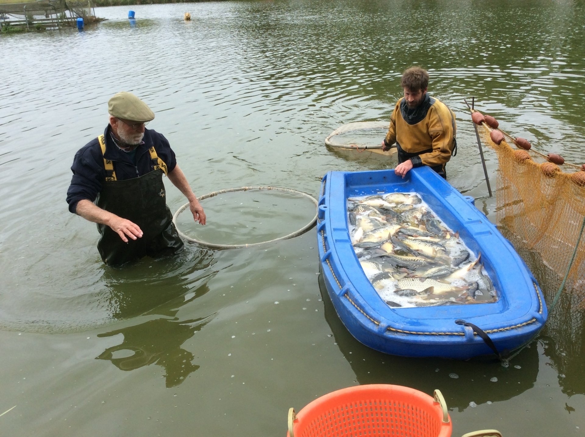 Contact Us Fishers Pond Fishery Hampshire