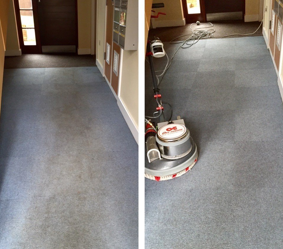dry fusion carpet cleaning
