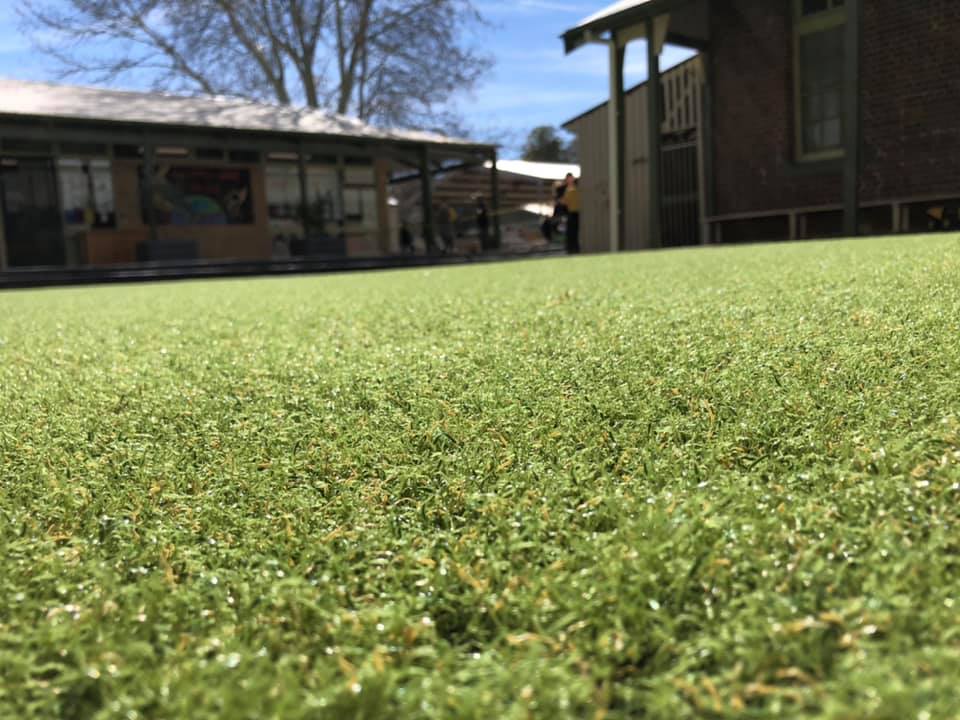 Synthetic Grass Dubbo Dubbo Premier Landscapes