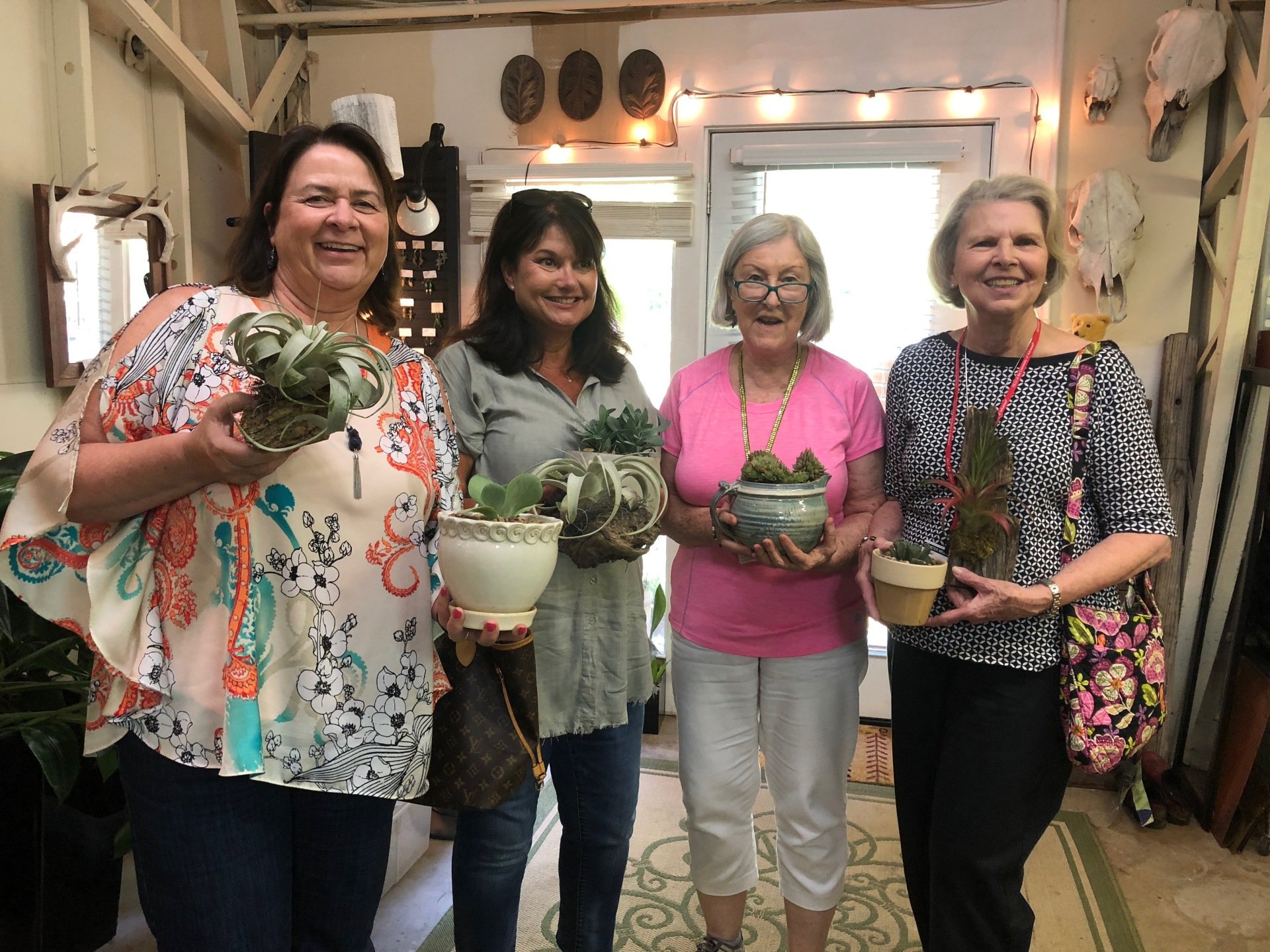 Plant Rental Prices in Northwest Arkansas